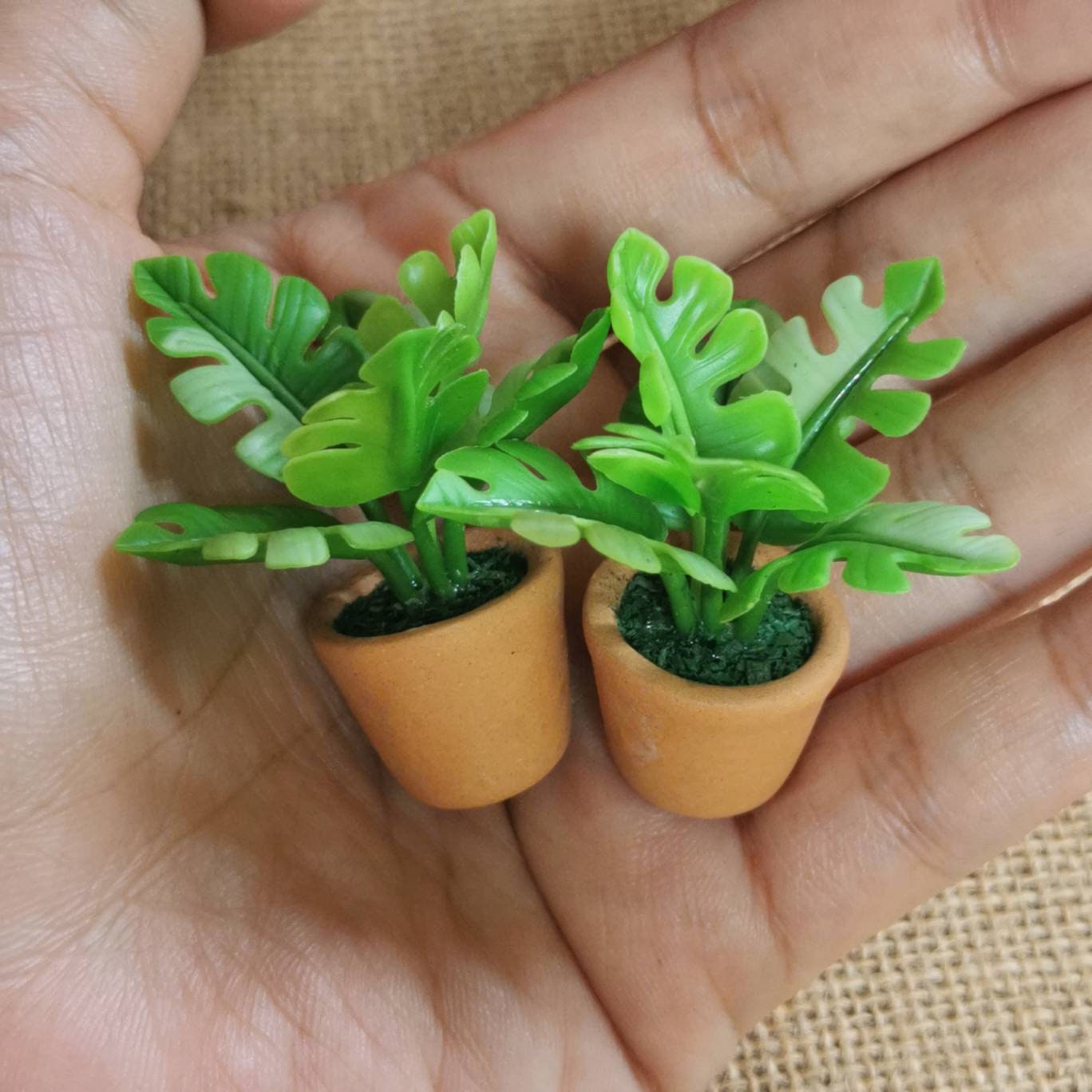 Miniature Dollhouse Green Tropical Plants Miniature Green Etsy