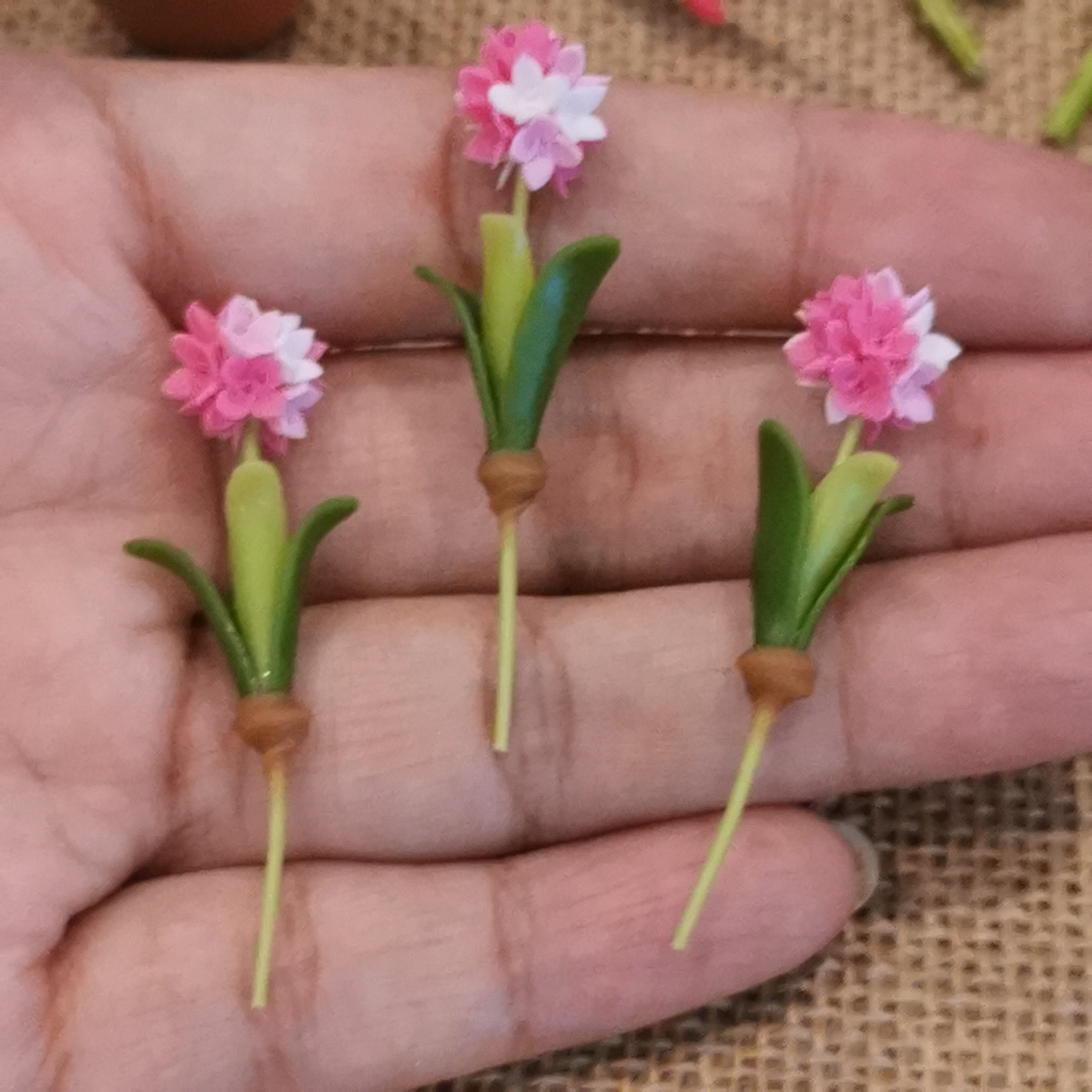 Dark Pink Opium Poppy Flowers Plants 3 Bunches Clay Miniature Dollhouse  Flower