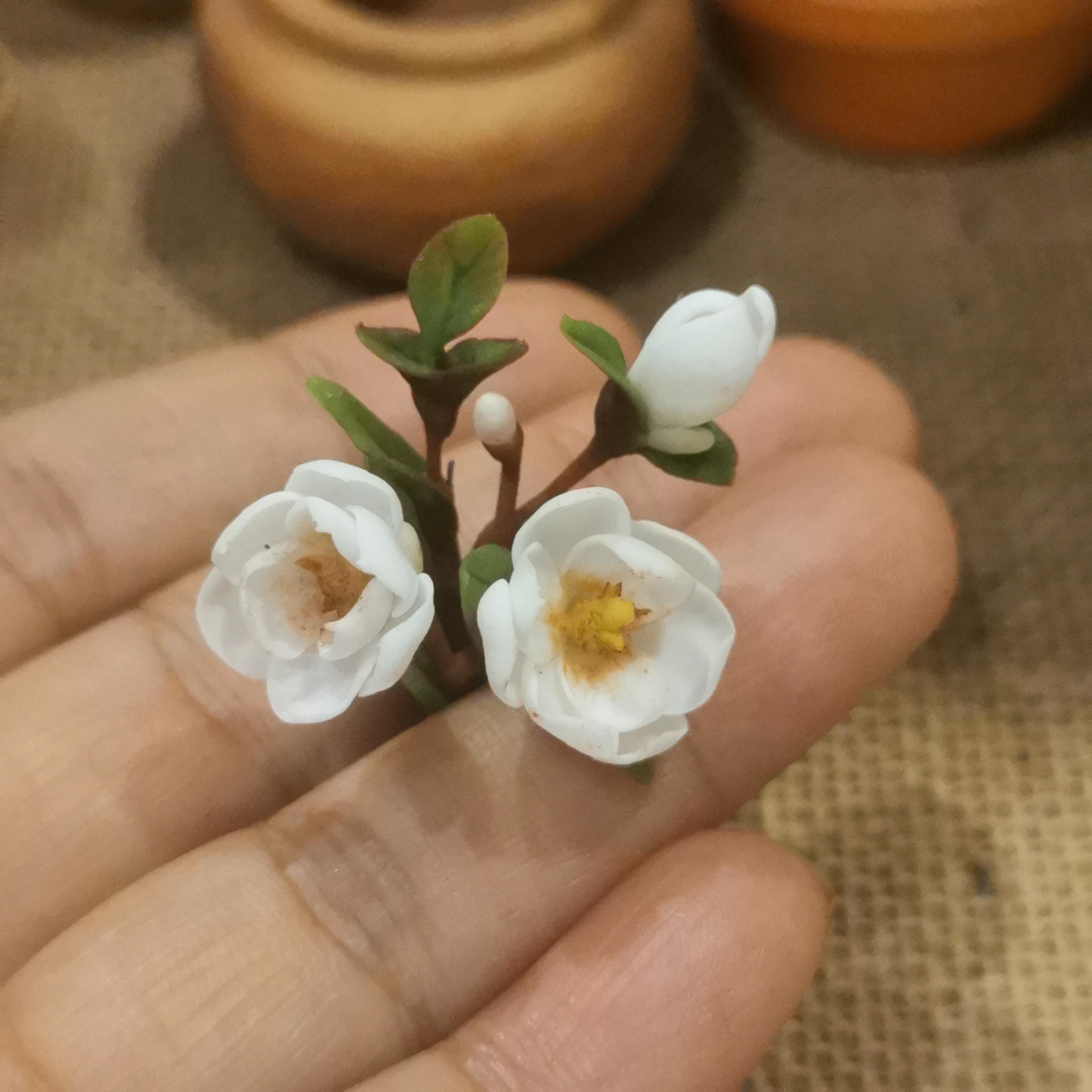 イギリス　ミニチュア　陶器製　花束の置物　ドールハウス Amazon | JOLUCE ドールハウス ミニチュア 手作りキット セット