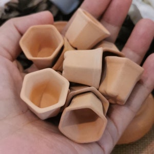 May include: A collection of small, terracotta-colored hexagonal pots, perfect for planting small succulents or herbs. The pots are arranged in a hand, showcasing their unique shape and size.