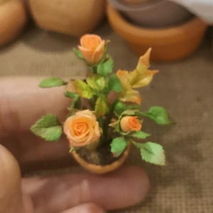 Könnte beinhalten: Miniaturarrangement aus orangefarbenen Rosen in einem kleinen Terrakottatopf. Die Rosen blühen voll, mit grünen Blättern und Knospen. Ein charmantes, handgefertigtes Stück, ideal für Puppenhäuser oder Miniatur-Ausstellungen.