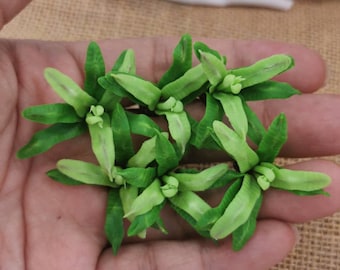 Pode incluir: Um grupo de seis pequenas plantas suculentas artificiais verdes. As plantas estão dispostas em um grupo e têm uma aparência realista.