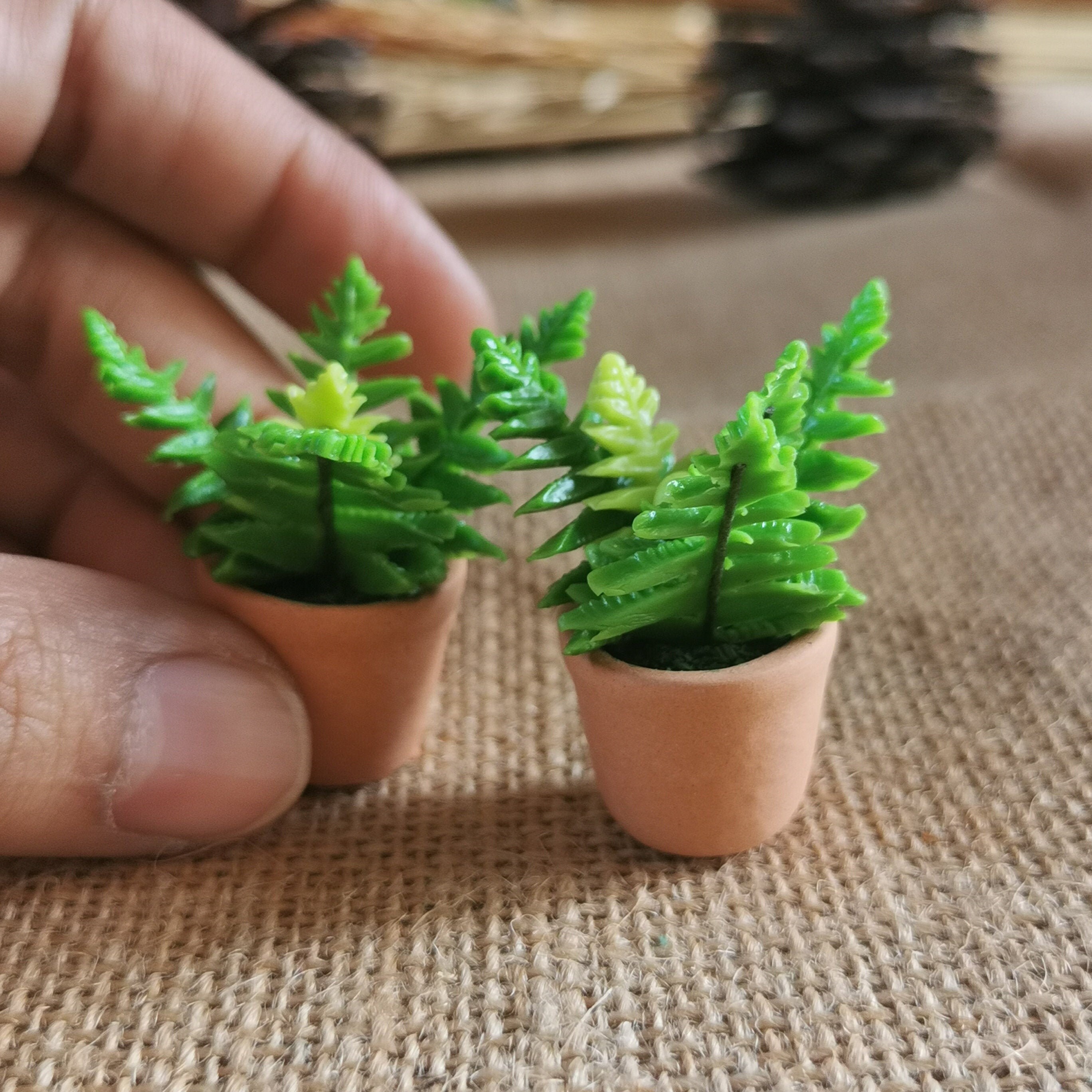 2 Miniature Dollhouse Green Boston Fern Plants Miniature Etsy