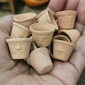 Puede incluir: Una colección de pequeñas macetas de terracota con caras caprichosas, perfectas para plantar pequeñas suculentas o hierbas.