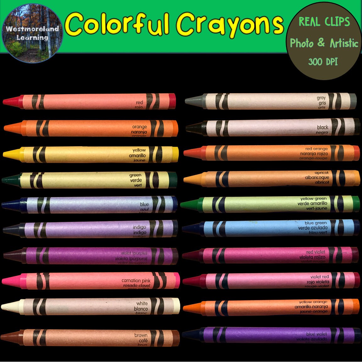 Download Color Crayon Clip Art Colorful Crayons Set Photo Artistic Etsy