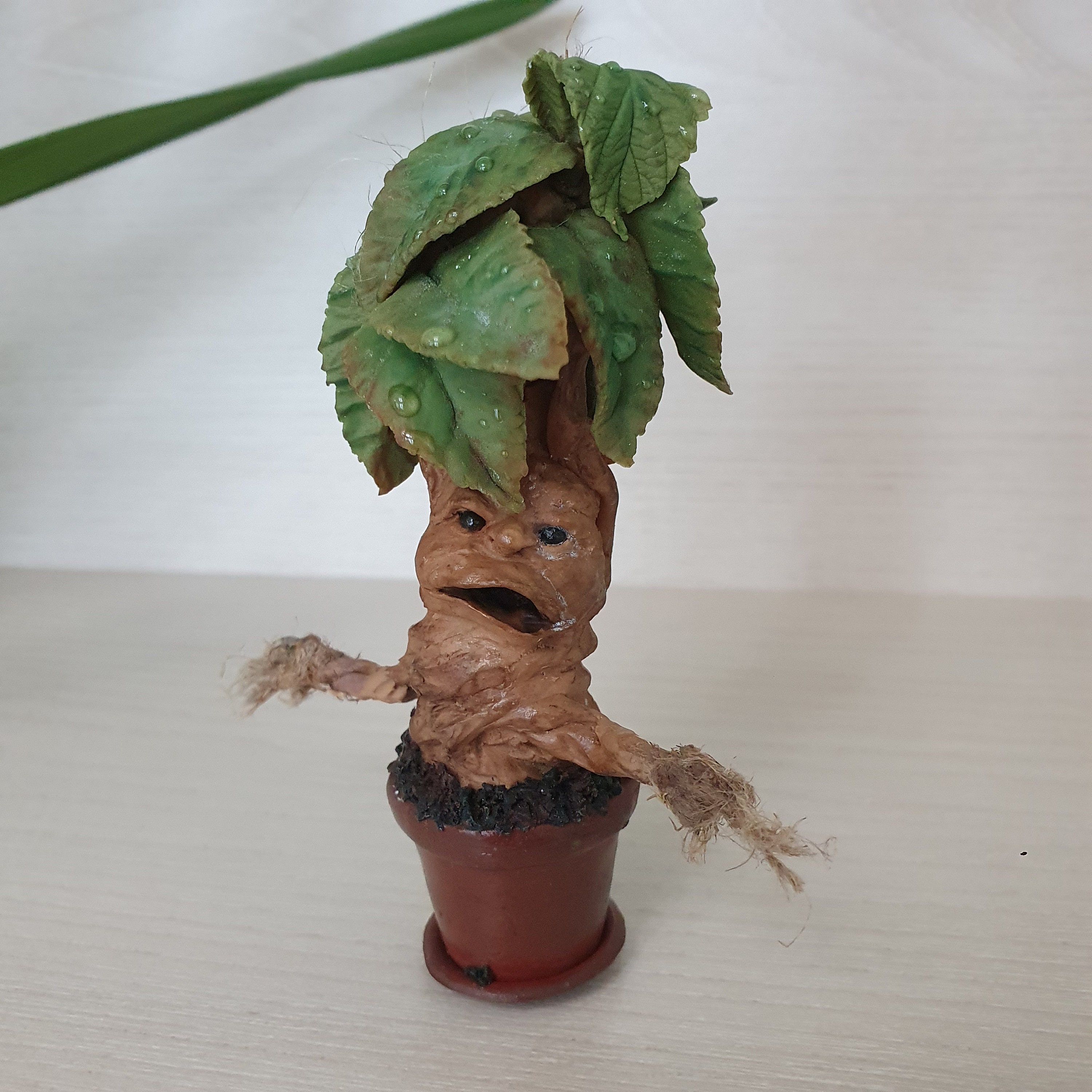 Mandrakes Small mangragora plant Mandrake rootling Magical Etsy
