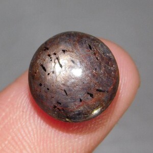 5 CT 1 Piece Natural Star Ruby Loose Gemstone Round Shape Cabochan 10x10x5 mm