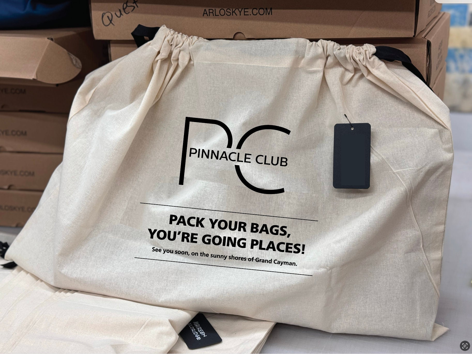 Rudong M 8 Pack Satin Dust Bags: Silky Dust Cover With Drawstring