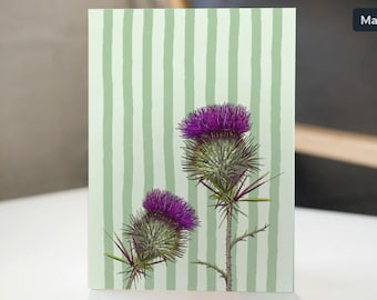 Scottish Thistle Greetings Card