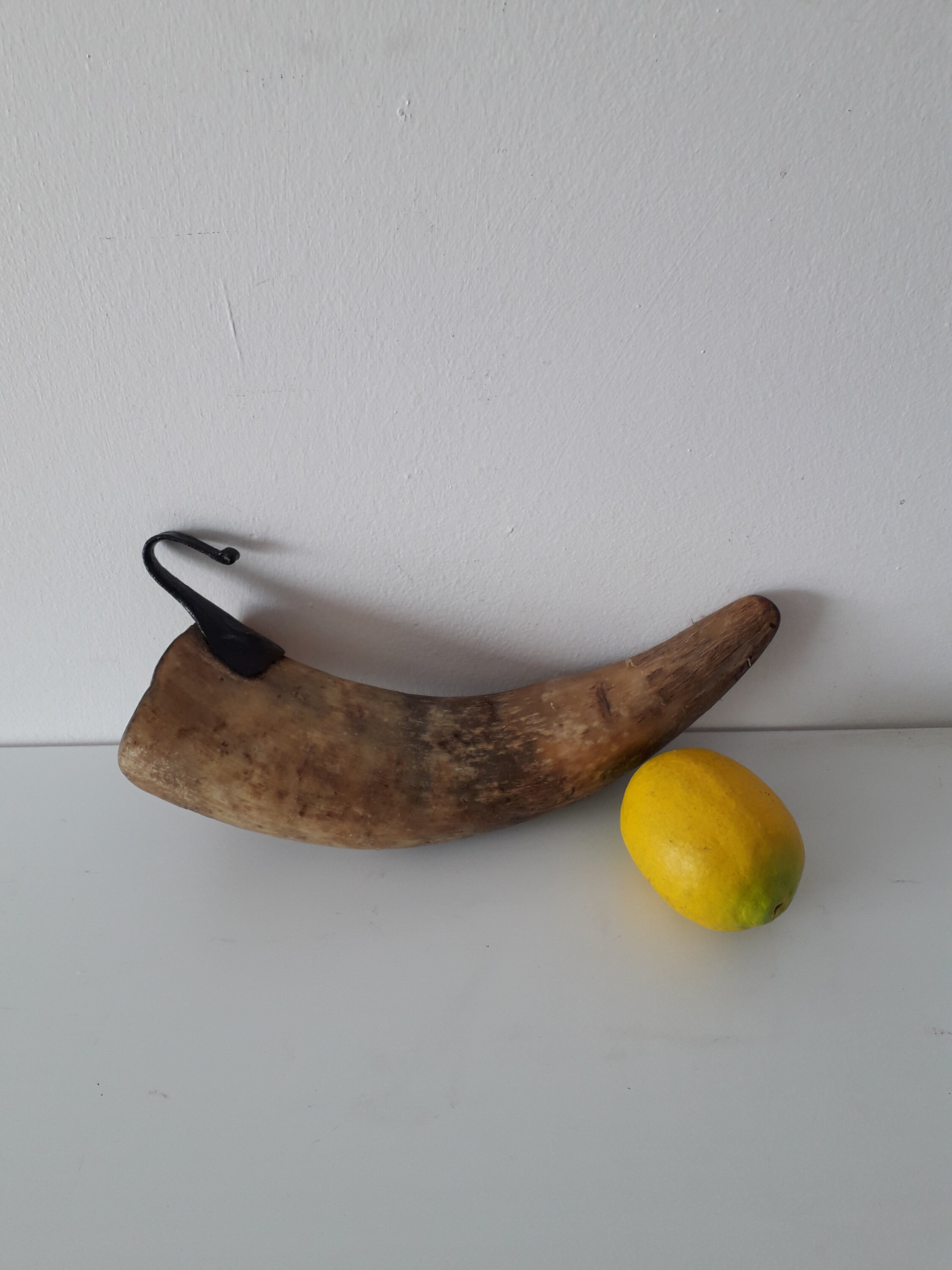 19th C French Powder Horn, Handcarved Wood Stopper, Small 5 Inch 