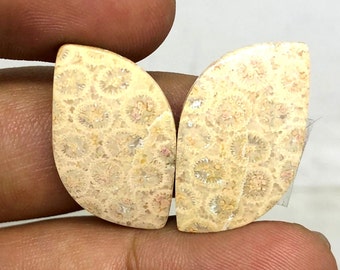 Awesome Top Quality Natural Fossil Coral Fancy Shape Cabochon Loose Gemstone Pair For Making Jewelry 25 Cts Size 27X15X4 MM FP-29