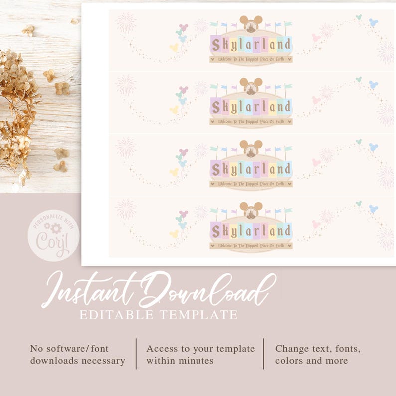 May include: Printable digital download of four labels featuring a cartoon Mickey Mouse head with a castle and fireworks. The labels say "Skylarland" and "Welcome to the Happiest Place on Earth".