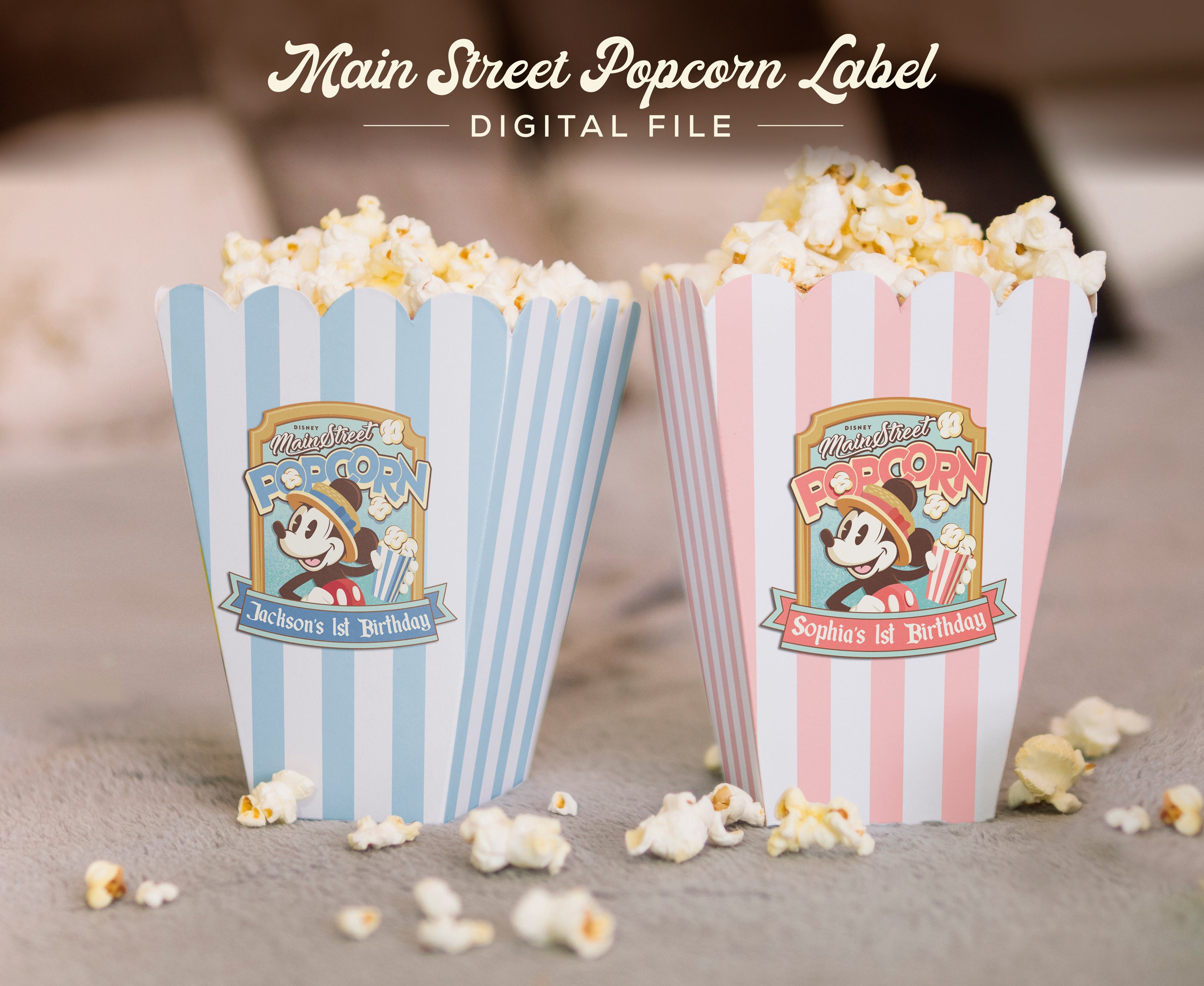 Disneyland popcorn buckets - Etsy 日本