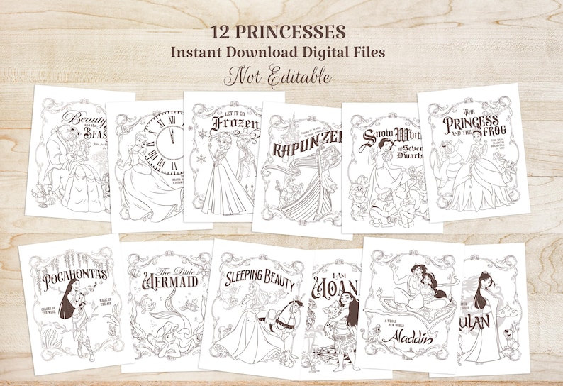 Op de afbeelding: Een verzameling van 12 digitale downloadbestanden met prinsessenthema's. Elk bestand bevat een andere prinses, waaronder Belle en het Beest, Frozen, Rapunzel, Sneeuwwitje en anderen. De zwart-wit illustraties staan op een witte achtergrond.