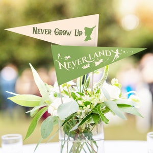 Printable Neverland Pennants, Never Grow Up Birthday, Peter Pan Birthday, Neverland, Magical Party Decoration, Digital file