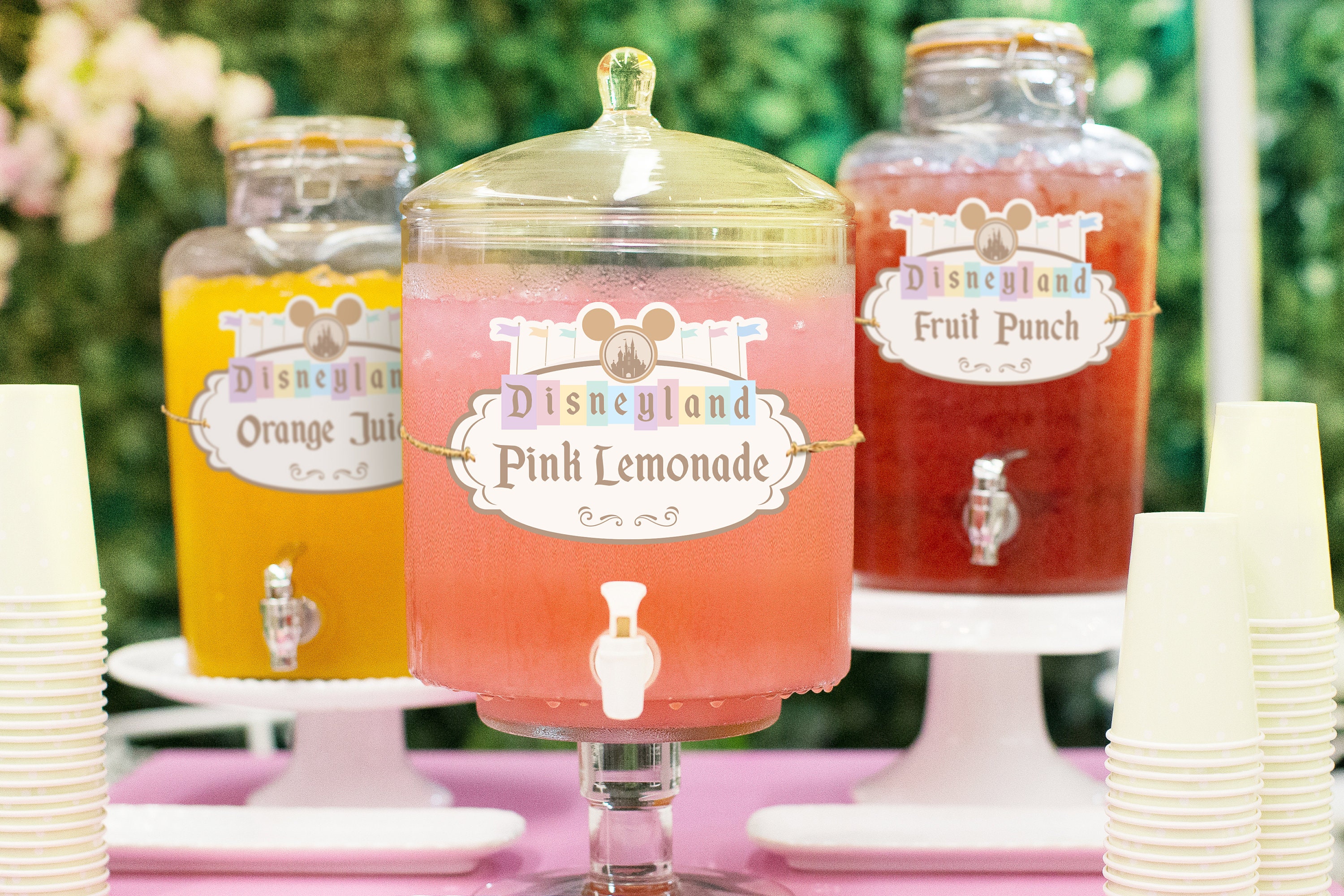 Printable Disneyland Party Drink Label, Mickey Party Beverage Label, Perfect for any birthday party or event, Digital file