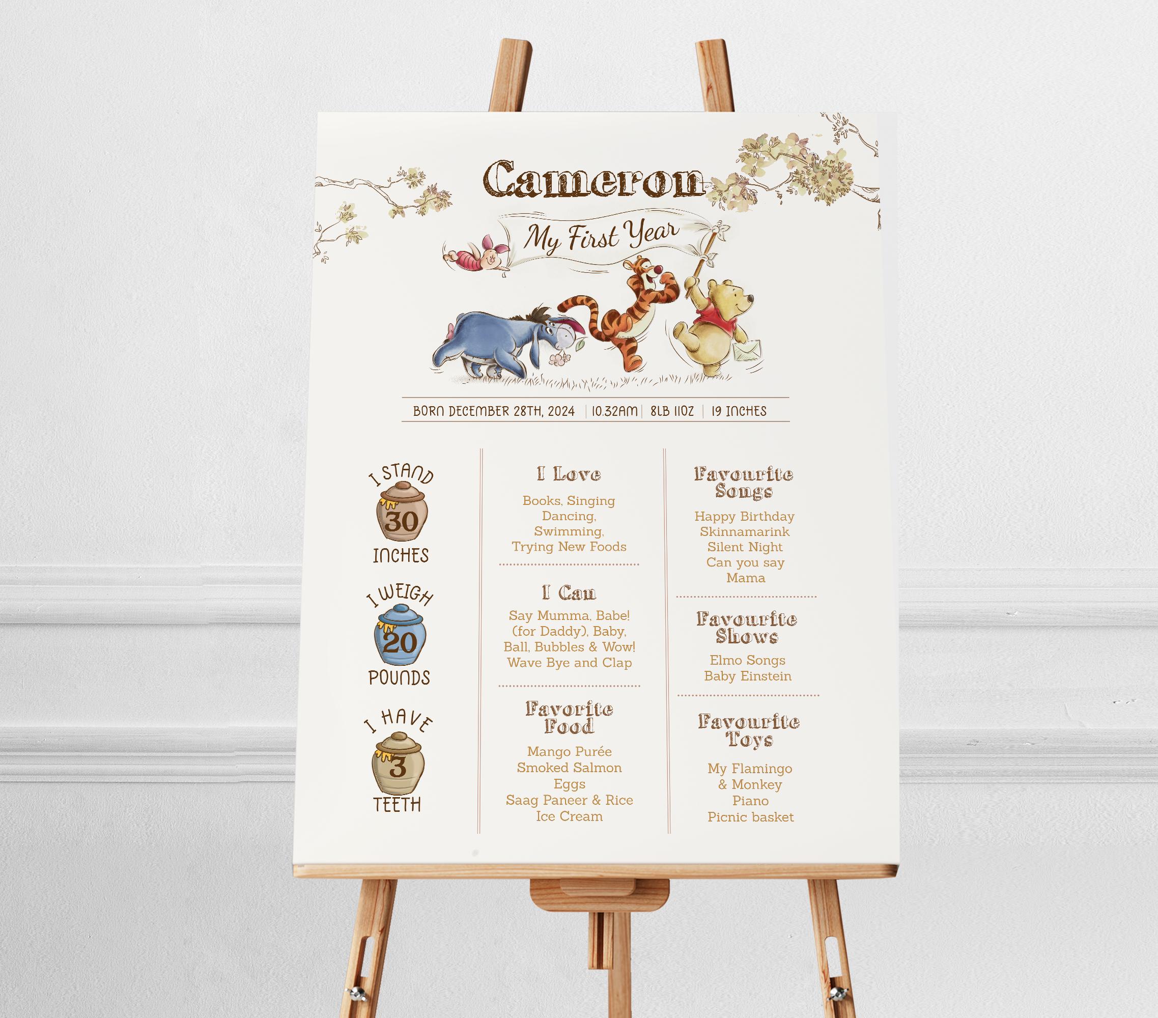 Editable Winnie the Pooh Photo Milestone Poster, Printable Baby First ...
