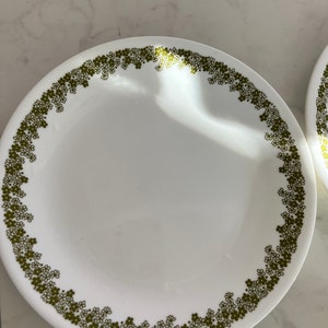 Corelle Crazy Daisy Spring Blossom  plate