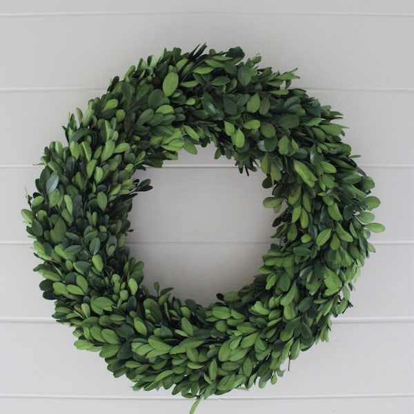 14" Preserved Boxwood Wreath