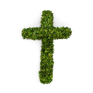 Preserved Boxwood Cross