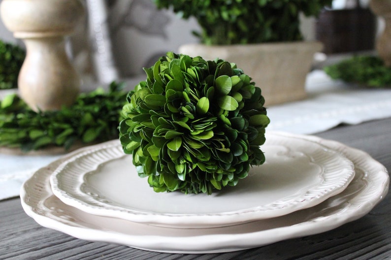 4 Preserved Boxwood Ball Etsy