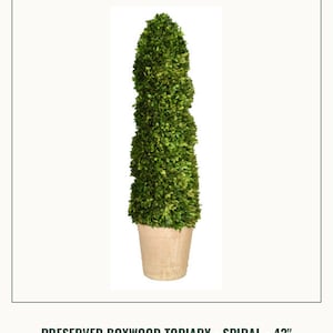 43” Spiral Boxwood Topiary