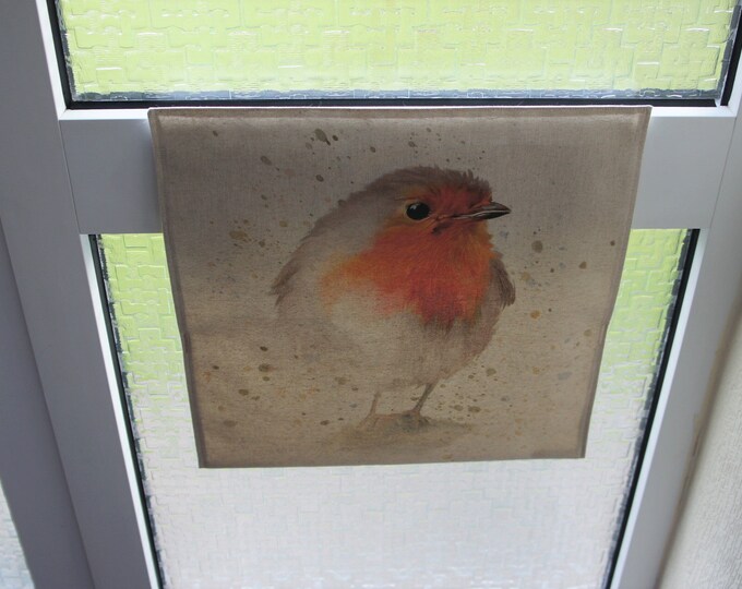 Robin, letterbox, door, bag, letter, catcher, draught excluder, mail slot, cover, post, pet protector, home help, cage alternative