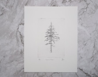 Original black pine spruce tree drypoint engraving print, hand printed by the artist