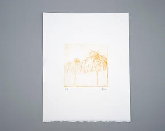 Original deep yellow echinacea coneflower drypoint engraving print, hand printed by the artist
