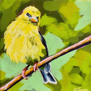 Goldie the goldfinch acrylic painting, small bird painting, songbird painting, goldfinch painting, yellow bird painting,