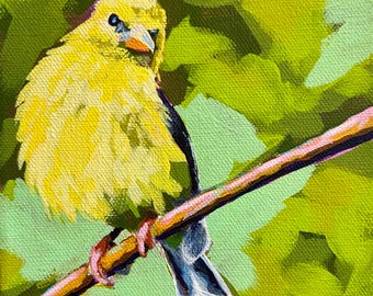 Goldie the goldfinch acrylic painting, small bird painting, songbird painting, goldfinch painting, yellow bird painting,
