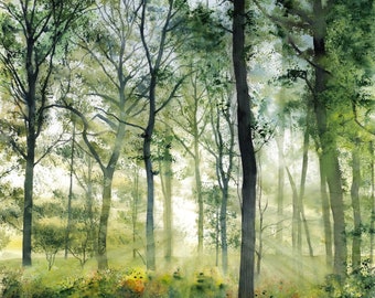 May include: A watercolor painting of a forest scene with sunlight streaming through the trees. The trees are tall and slender, with green leaves. The sunlight creates a dappled effect on the forest floor.
