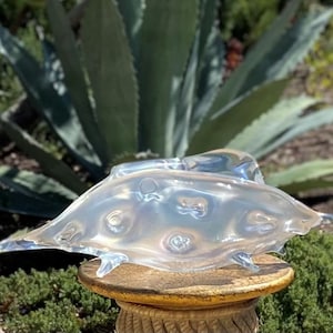 May include: A clear glass sculpture with an iridescent finish. The sculpture is shaped like a seashell with a rounded, organic form and several points.