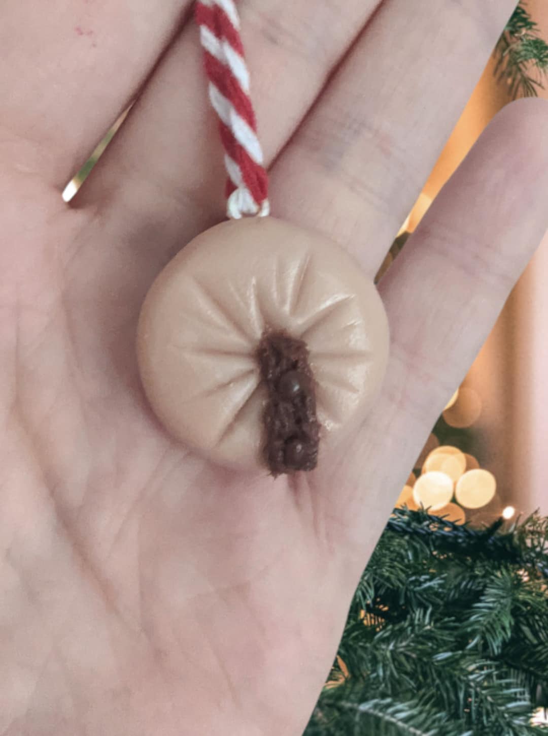 Asshole Poop Decoration Bumhole Butthole Funny Novelty Gift - Etsy