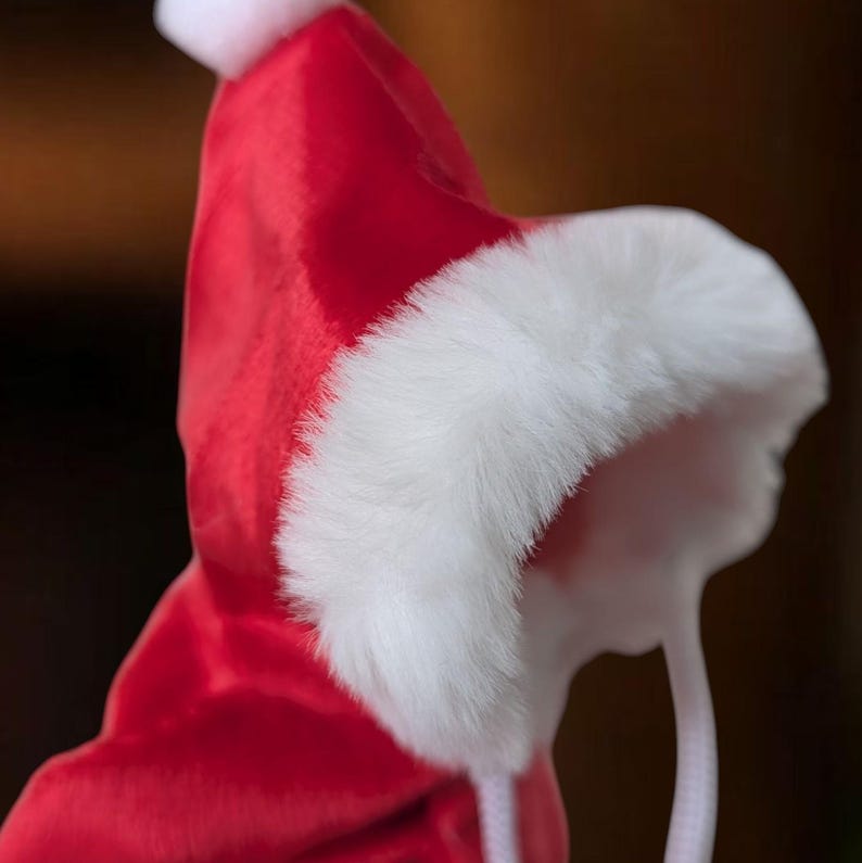 Santa claus willy warmer woody hoodie cute fluffy funny decoration secret Santa costume immagine 7