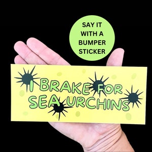 Funny Bumper Sticker, I Brake For Sea Urchins, Meme Bumper Sticker, Bumper Sticker, Funny Gift, Free Shipping