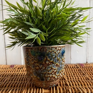 May include: A small potted plant with green leaves in a brown and blue speckled ceramic pot. The pot is sitting on a woven wicker surface.