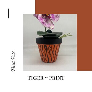 May include: A small orange and black tiger print planter with a black rim, holding a pink orchid with green leaves.