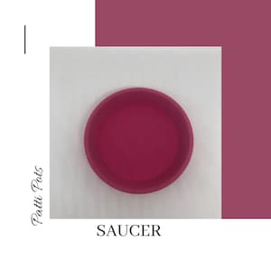 May include: A bright pink saucer for a small plant or succulent. The saucer is made of a smooth, durable material and is perfect for adding a pop of colour to your home decor.