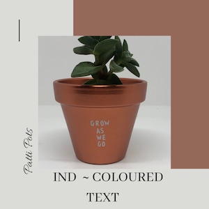 May include: A small copper-coloured pot with a succulent plant growing in it. The pot has the words "Grow as we go" written on it in white paint. The pot is sitting on a white surface. IND ~ COLOURED TEXT
