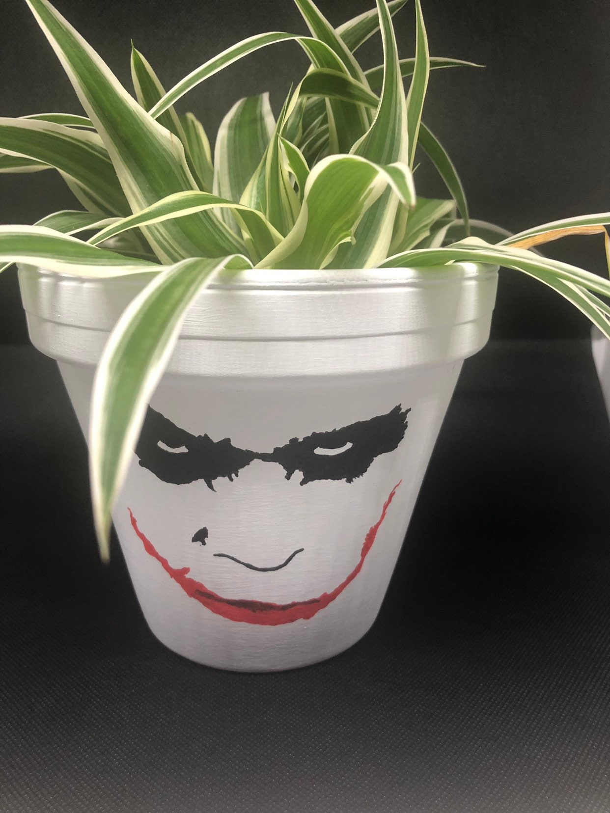 Joker Hand Painted Terracotta Plant Pot - Etsy