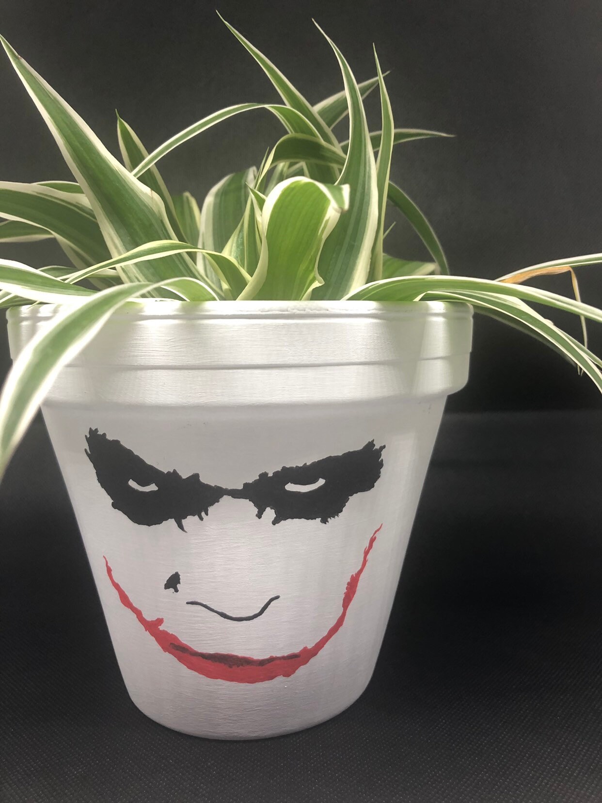 フラワー・ガーデニング Joker Joker Hand Painted Terracotta Plant Pot - Etsy