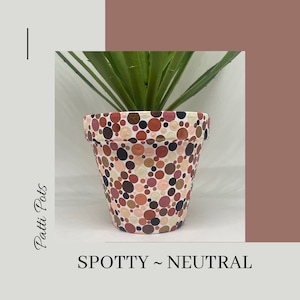 May include: A white ceramic planter with a neutral colour polka dot pattern. The planter is filled with a green succulent plant. The planter is labelled "SPOTTY ~ NEUTRAL" and "Patti Pots".