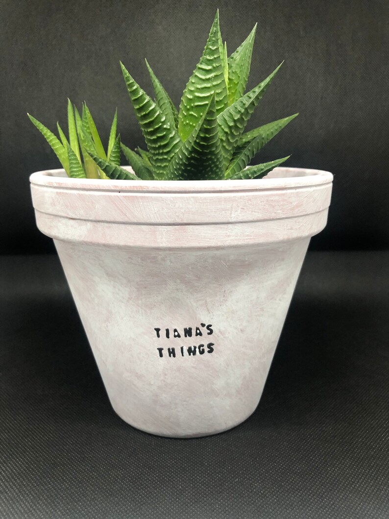 White Washed Herb Terracotta Plant Pot Etsy
