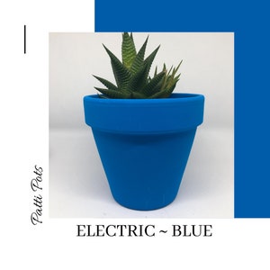 May include: A bright blue ceramic planter with a succulent plant. The planter is labelled "ELECTRIC ~ BLUE".