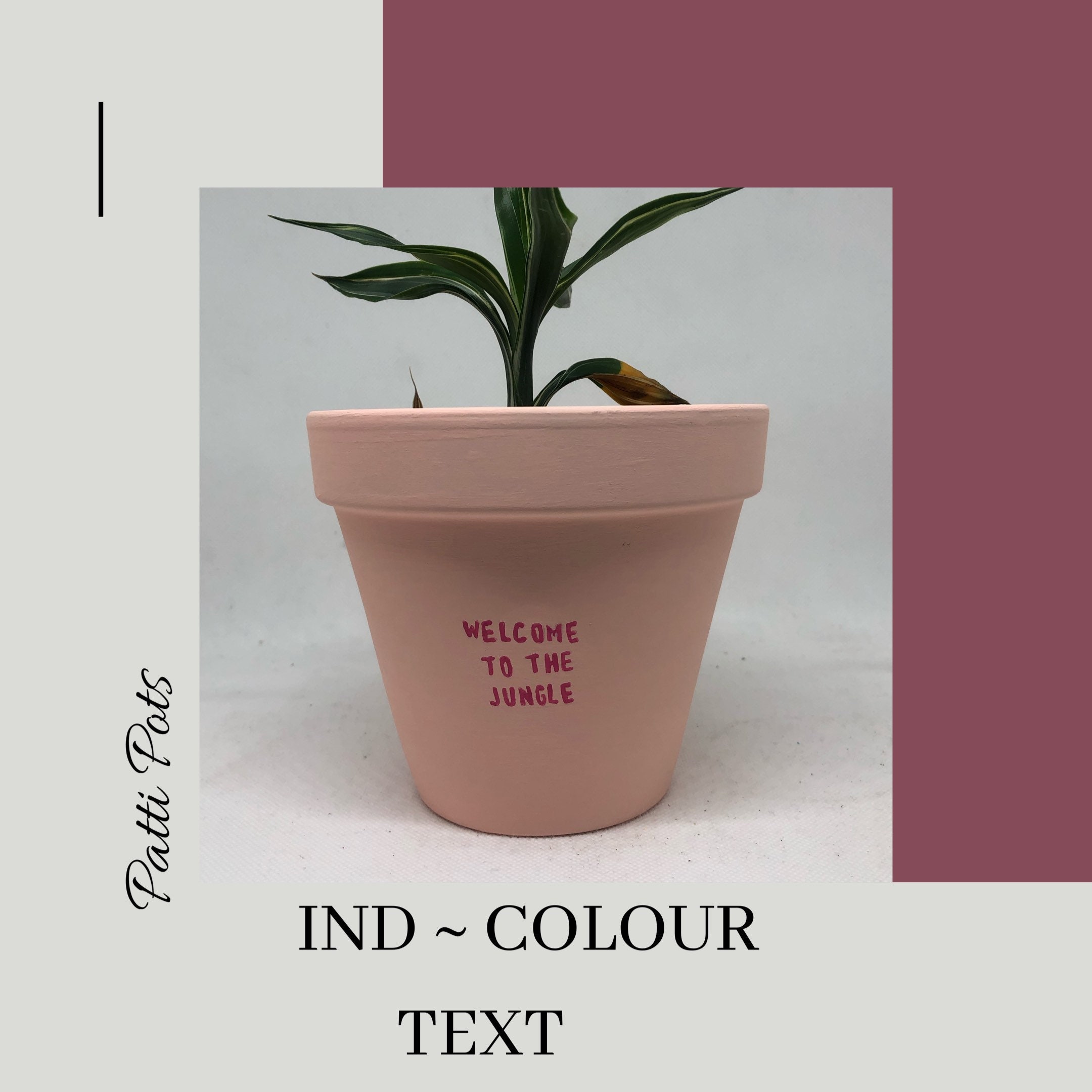 Medium Ind Colour With Text Hand Painted Terracotta Plant Pot - Etsy UK