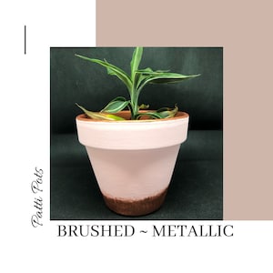 May include: A pink terracotta planter with a copper brushed metallic finish. The planter has a small green plant growing in it. The text "BRUSHED ~ METALLIC" is printed below the planter.
