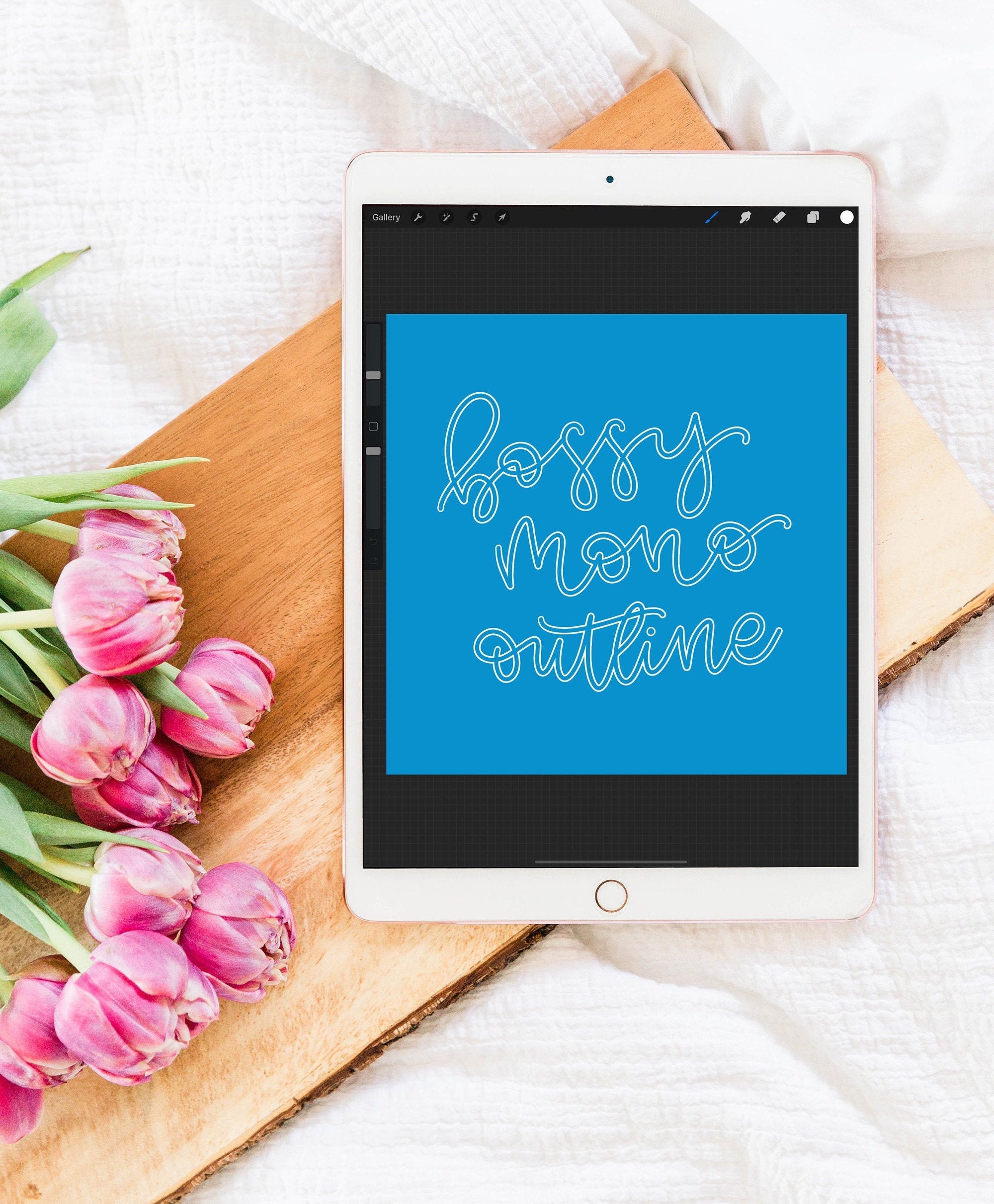 Bossy Mono Outline Procreate Brush Monoline Outline Brush | Etsy