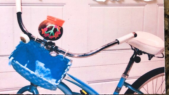 coconut cup holder for bike