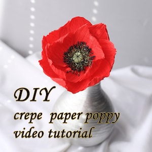 Video Tutorial Red Poppy from Crepe Paper Downloadable Template Download PDF DIY Paper Flower Video Paper Flower Tutorial